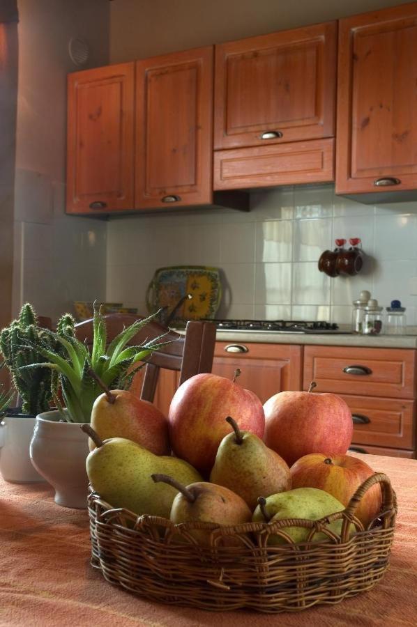 Agriturismo La Burraia Vicino A San Gimignano Gambassi Terme Εξωτερικό φωτογραφία